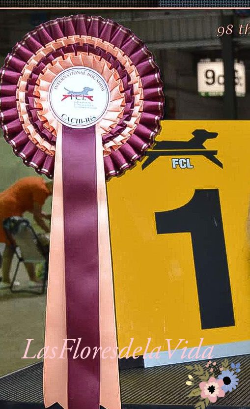 de las flores de la vida - 98th International Dogshow Luxembourg