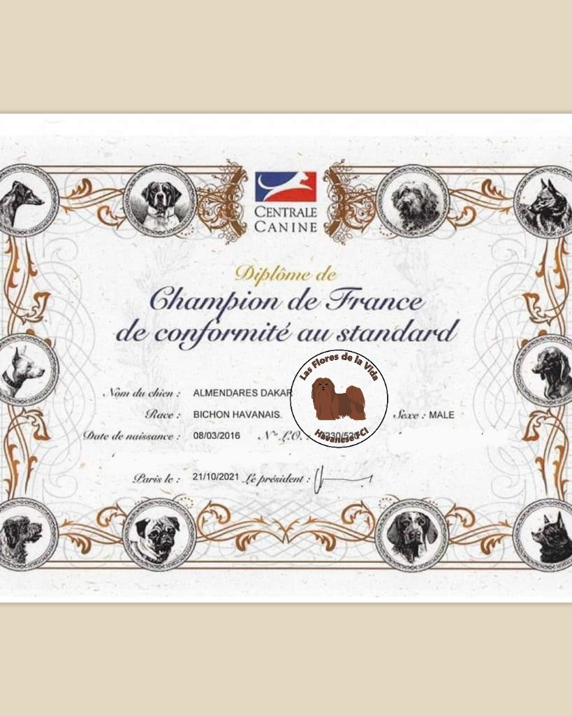 de las flores de la vida - Almendares Dakar devient Champion de France