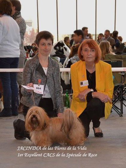 de las flores de la vida - Exposition Spéciale de race Maubeuge 2016