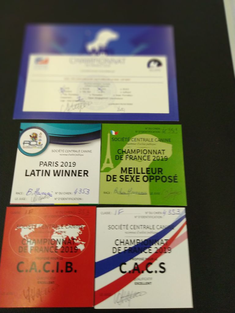 de las flores de la vida - Championnat de FRANCE Villepinte 2019