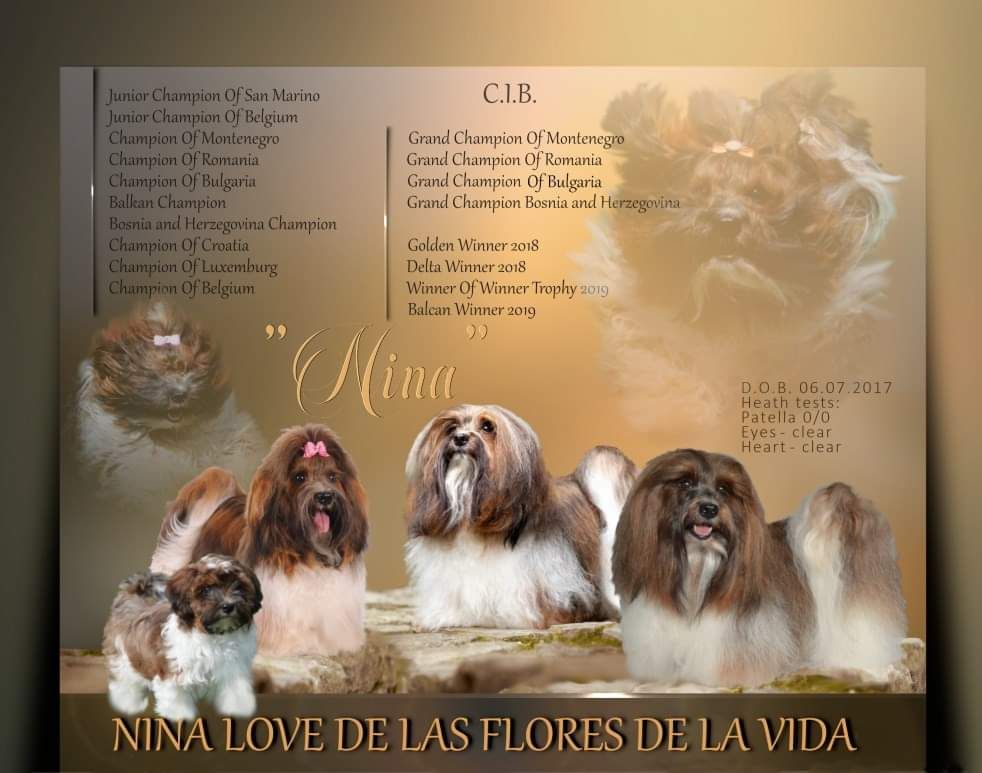 de las flores de la vida - Multi-Championne Nina de las Flores de la Vida